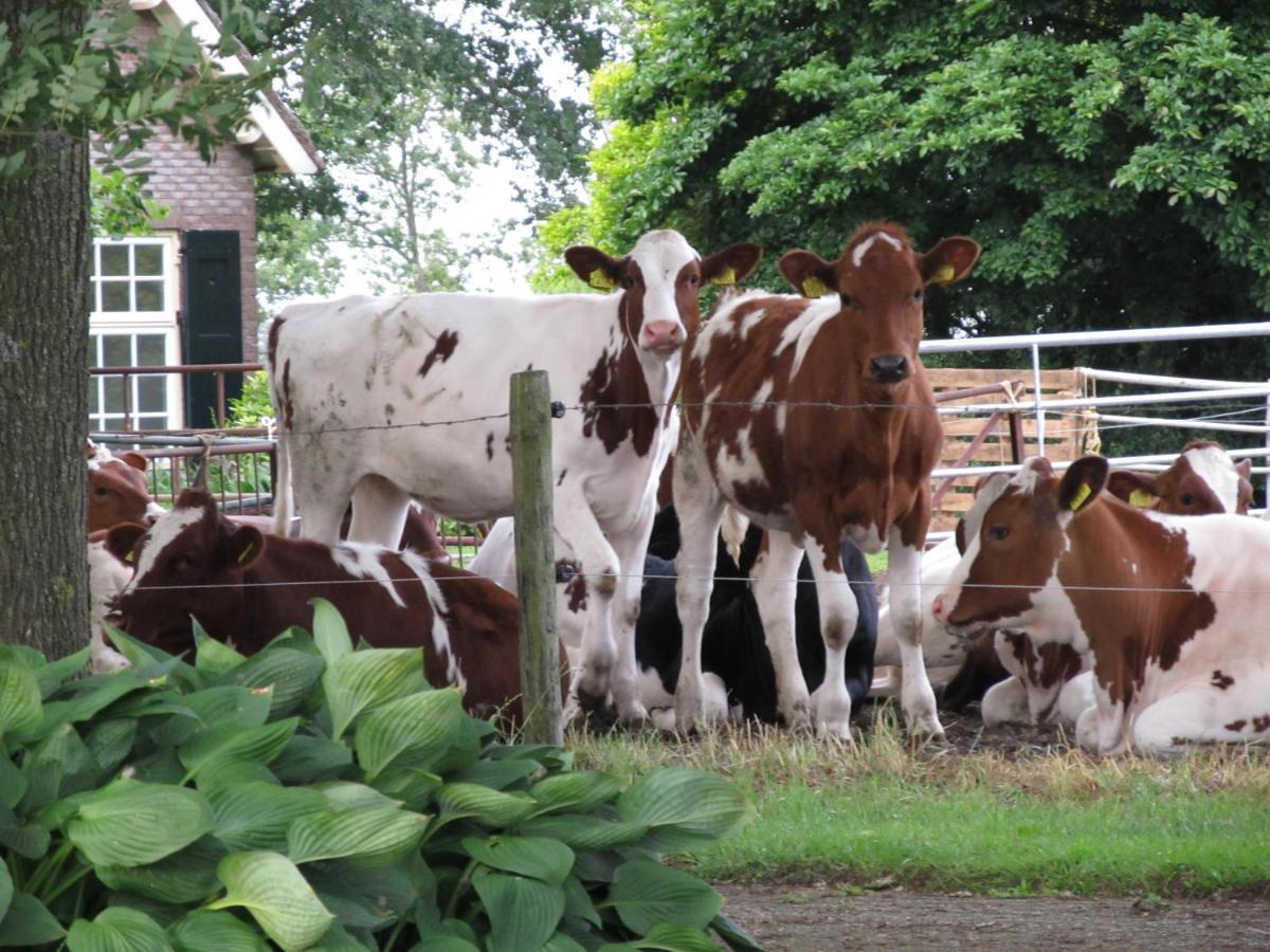 Boerderij De Aarnink Apartamento Heeten Exterior foto