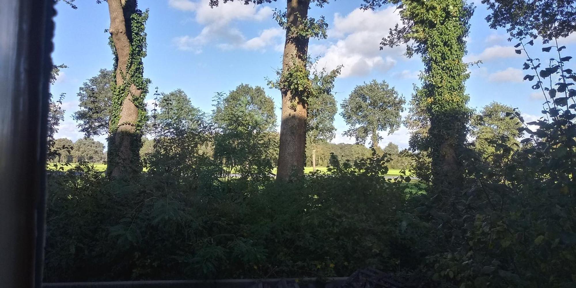 Boerderij De Aarnink Apartamento Heeten Quarto foto